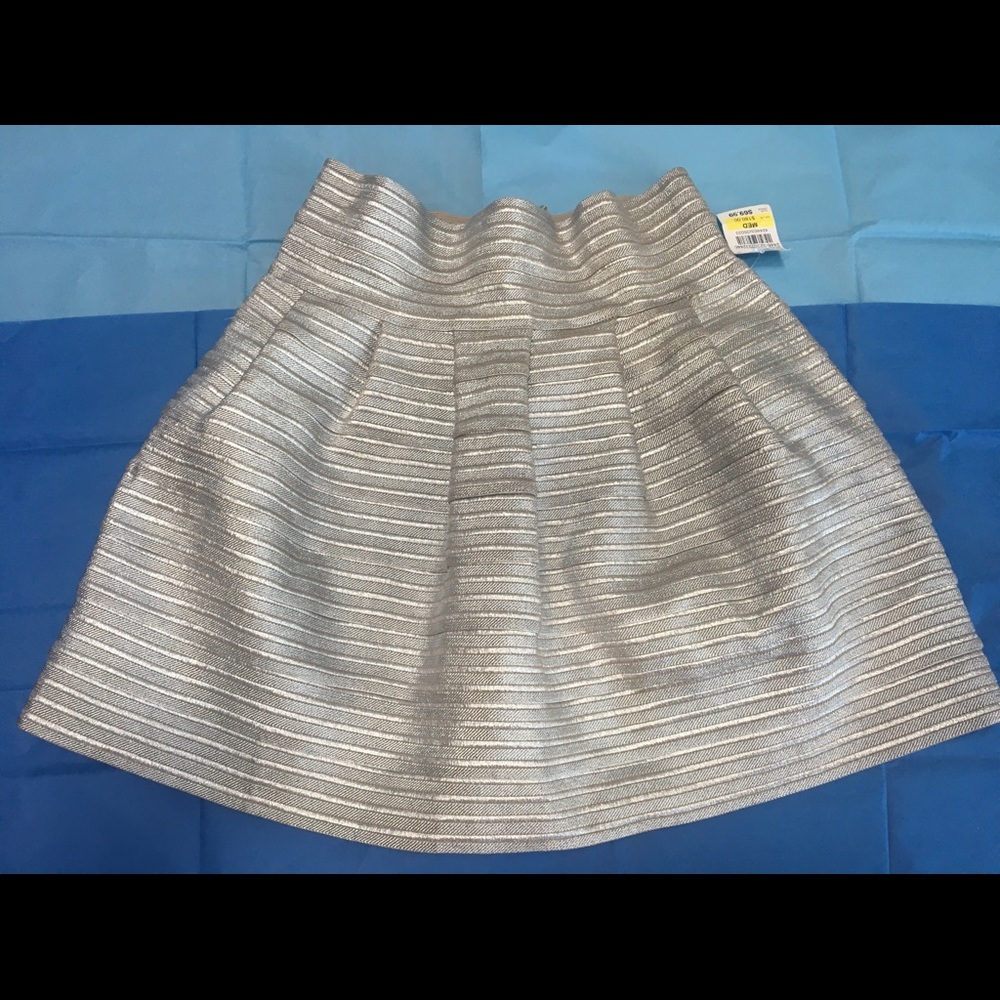 Silver Skirt